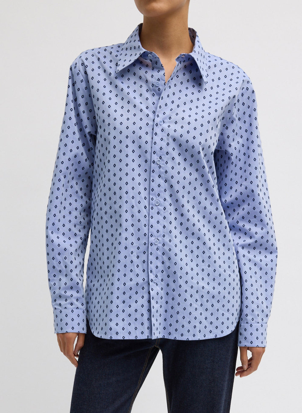 Flocked Oxford Classic Men's Shirt | Tibi Blue Multi
