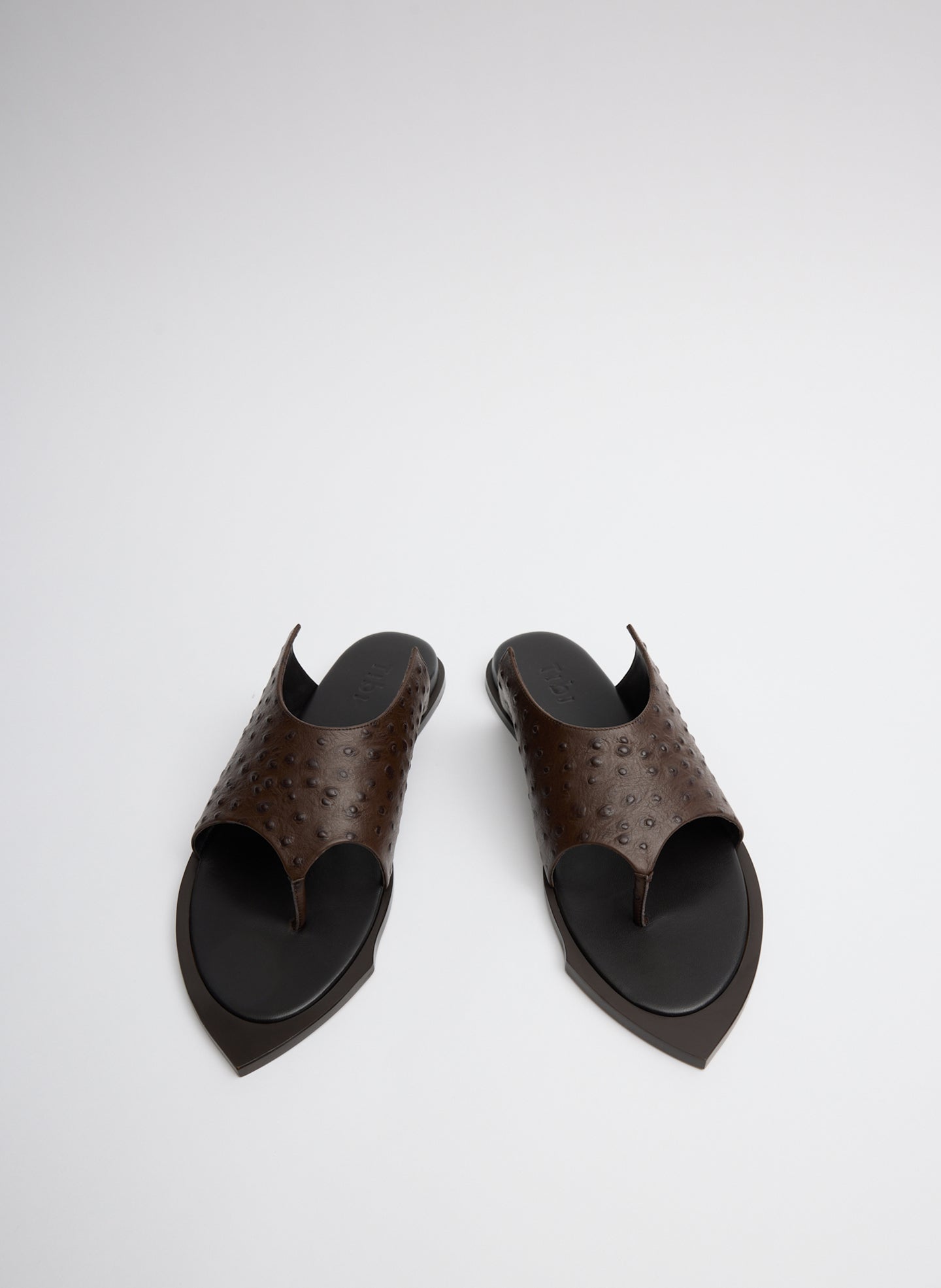 Ostrich Print Gerard Sandal | Tibi Dark Brown