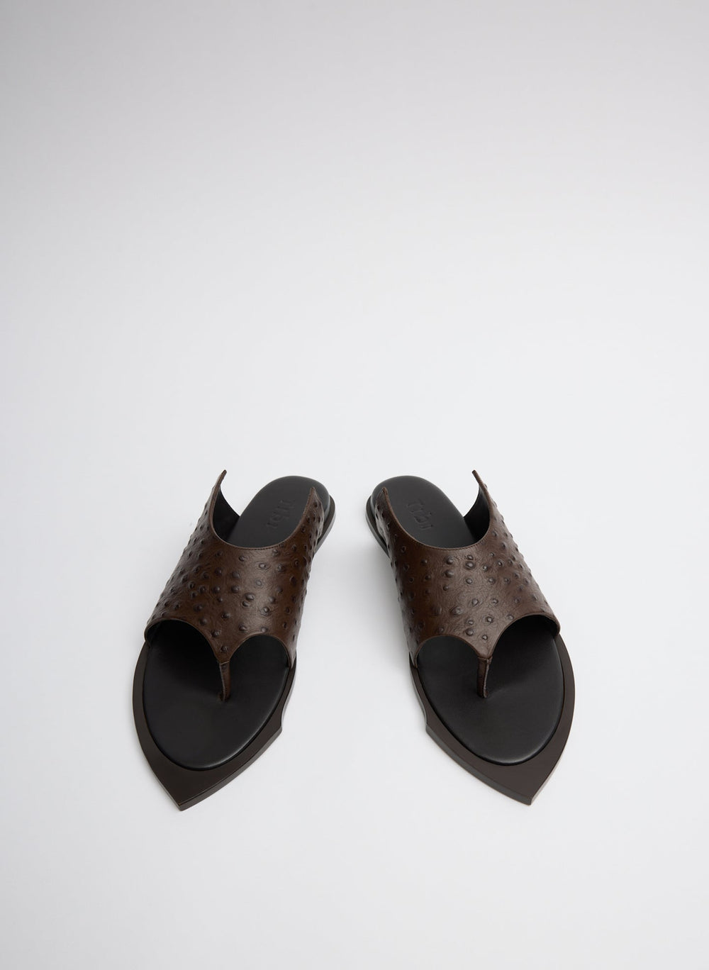 Ostrich Print Gerard Sandal | Tibi Dark Brown