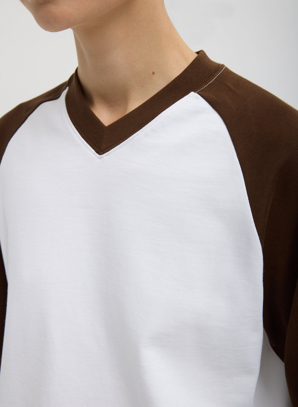 Perfect T-Shirt Vintage Sweatshirt | Tibi Brown Multi